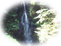 払沢の滝の写真