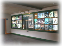 動植物の展示パネルの写真