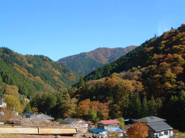 柏木野地区の写真1