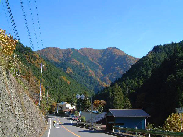 柏木野地区の写真2