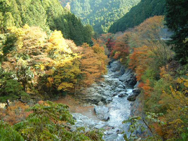 秋川（中山の滝）の写真
