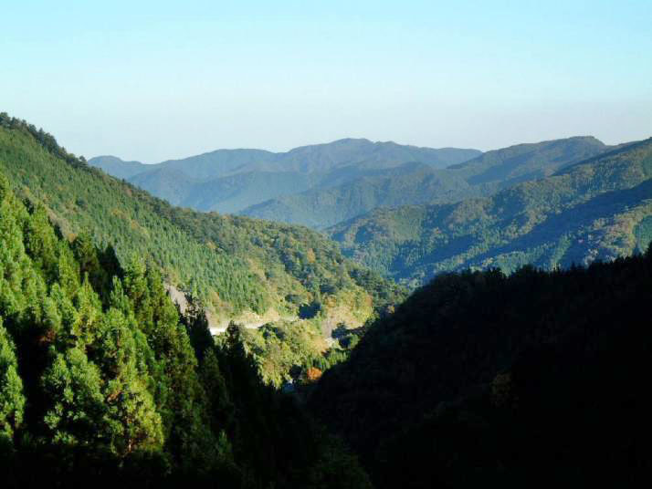 都民の森展望台の写真