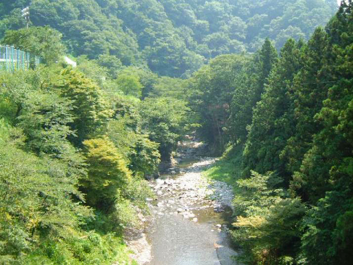 秋川（本宿）の写真
