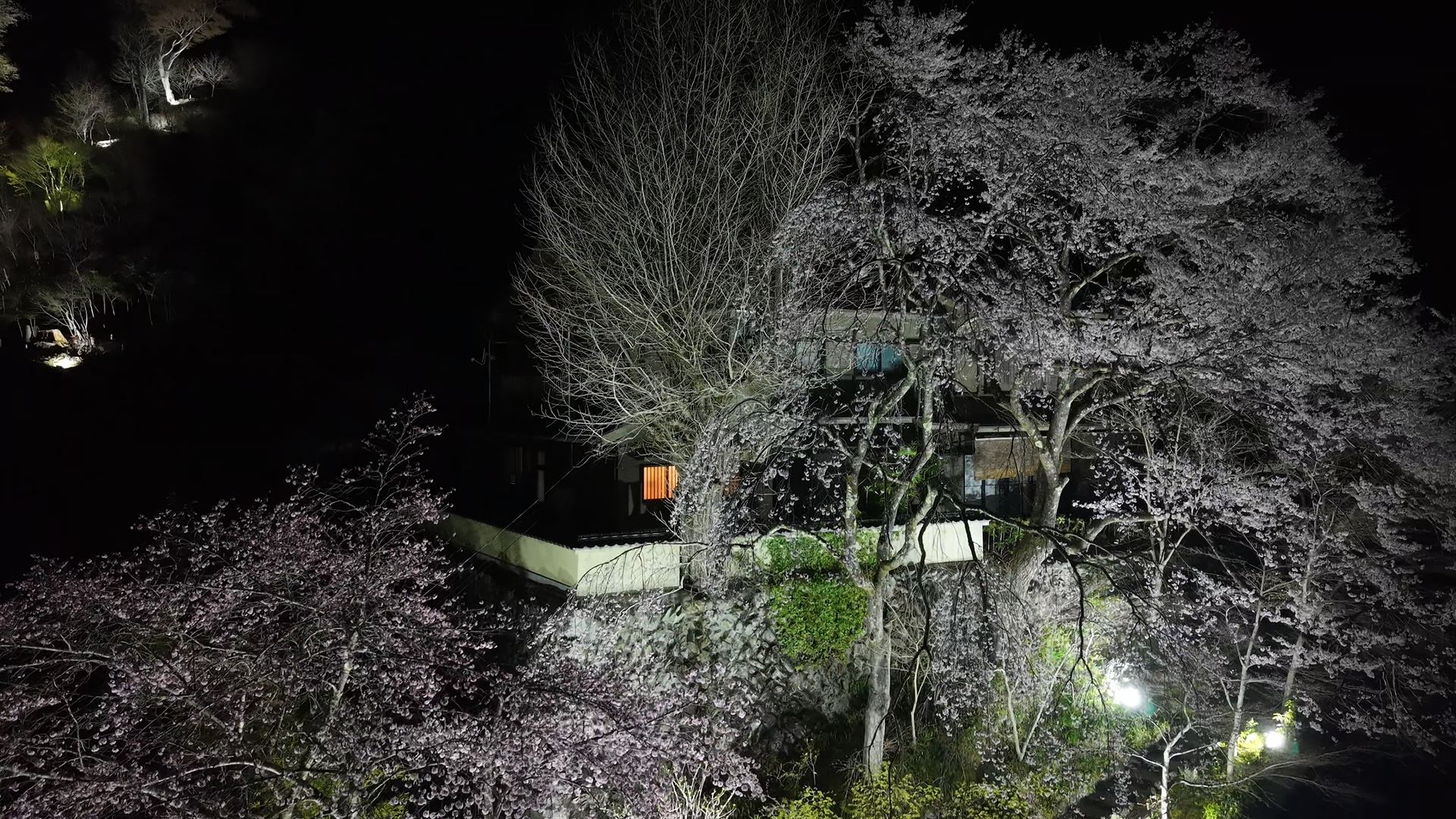 玉傳寺2